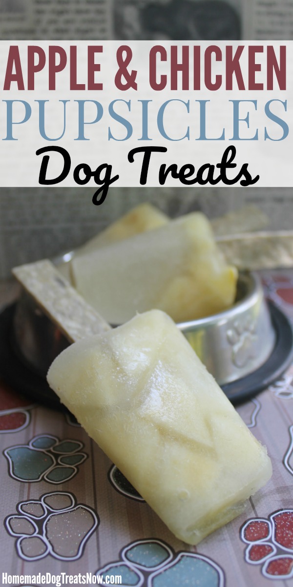 Apple and Chicken Pupsicles - Homemade Dog Treats Now